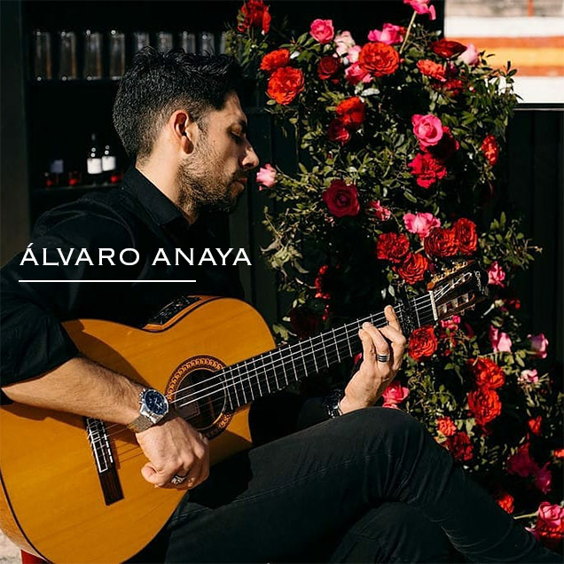 Alvaro Anaya | Guitarrista Flamenco